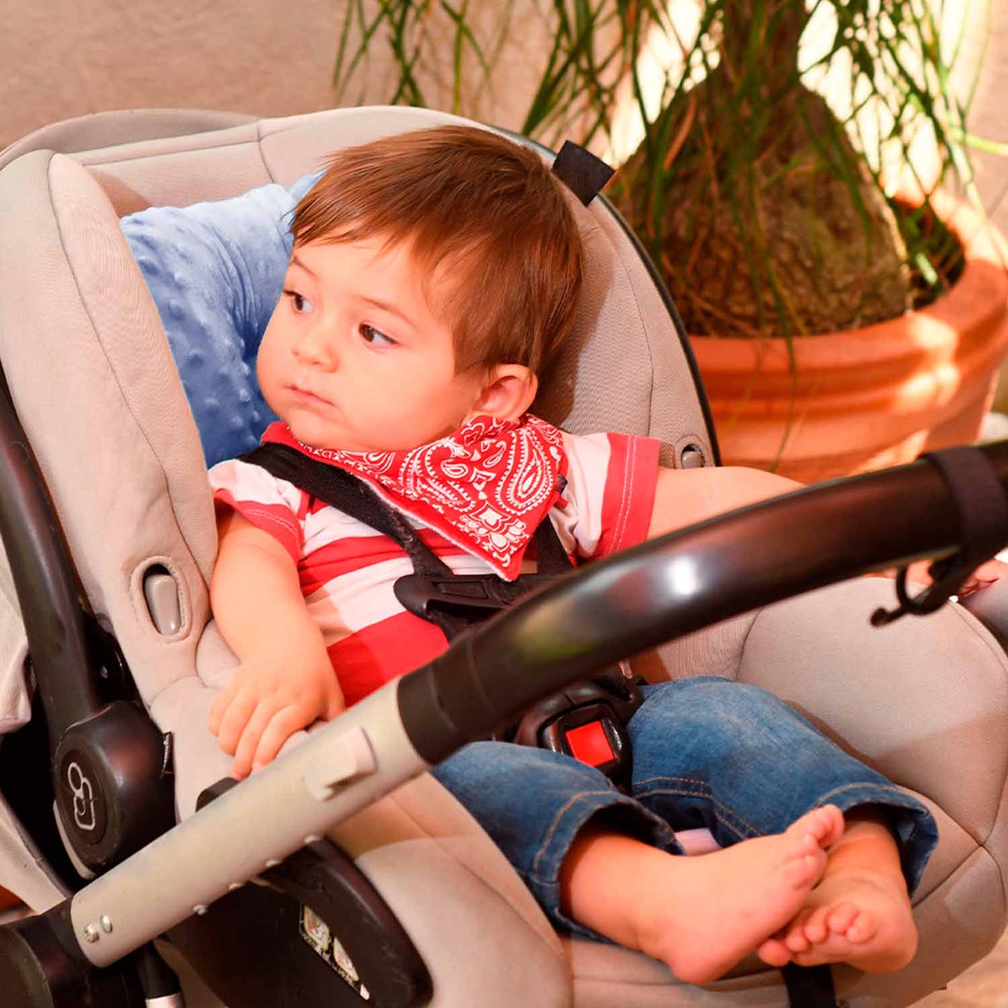 Cojín Soporte Reductor para Bebé