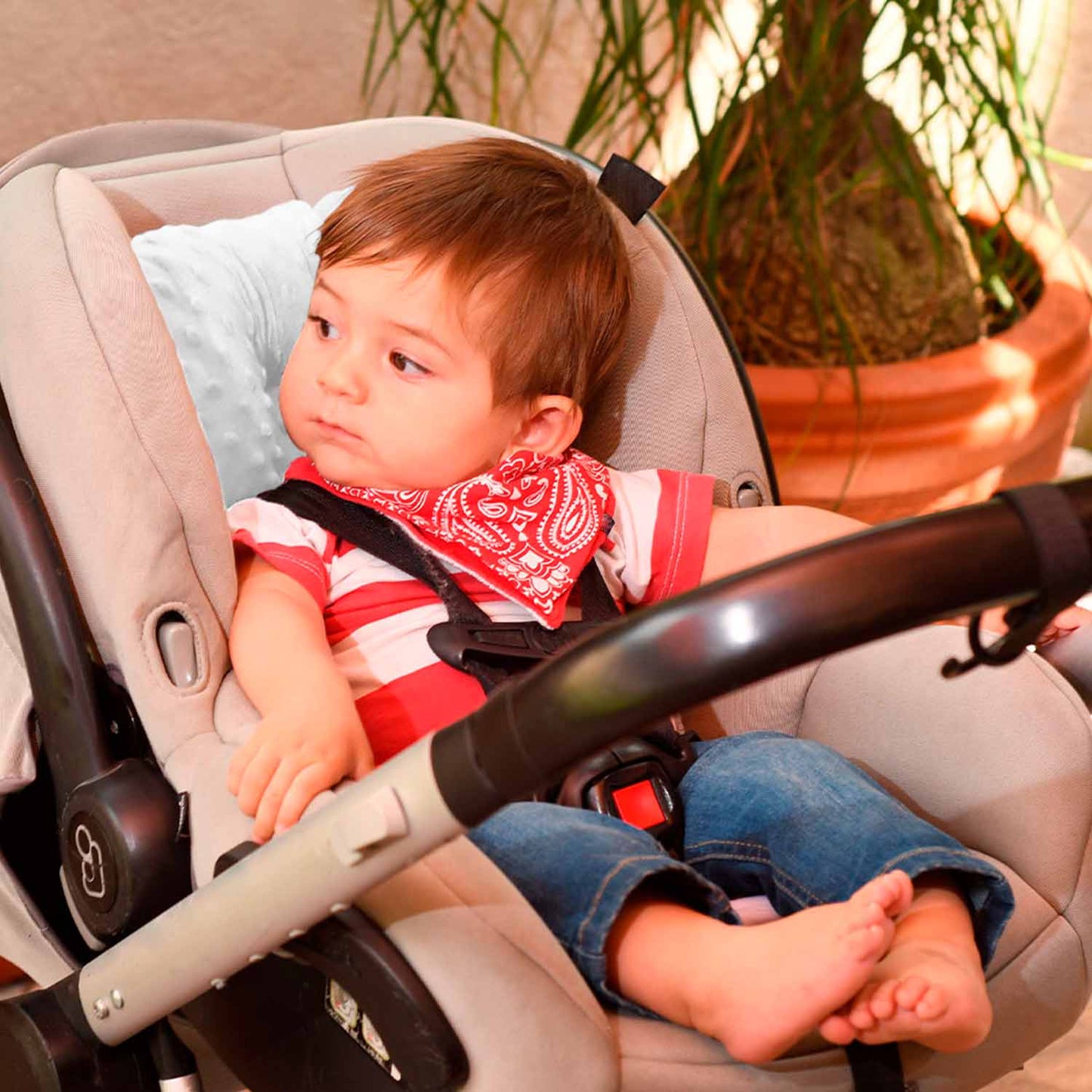 Cojín Soporte Reductor para Bebé