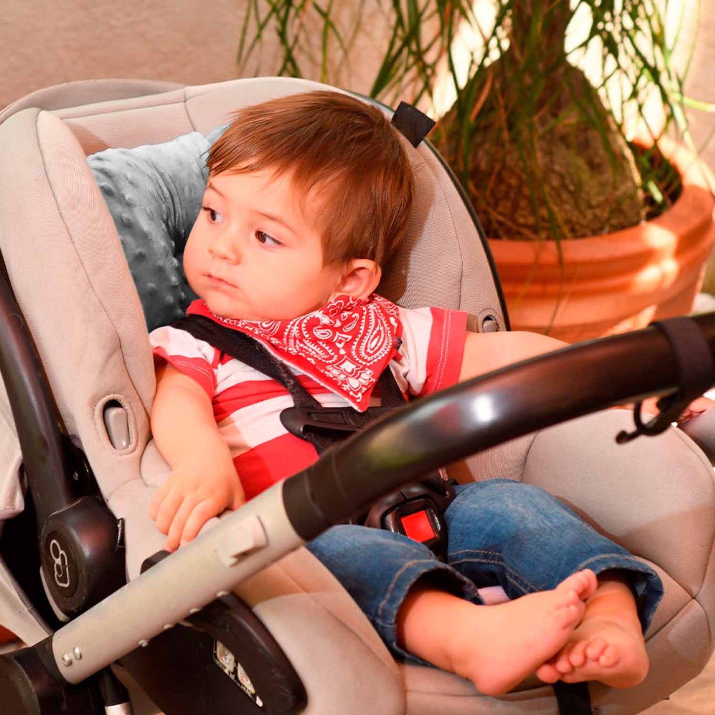 Cojín Soporte Reductor para Bebé